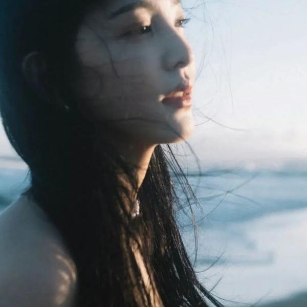双子谜情 海报